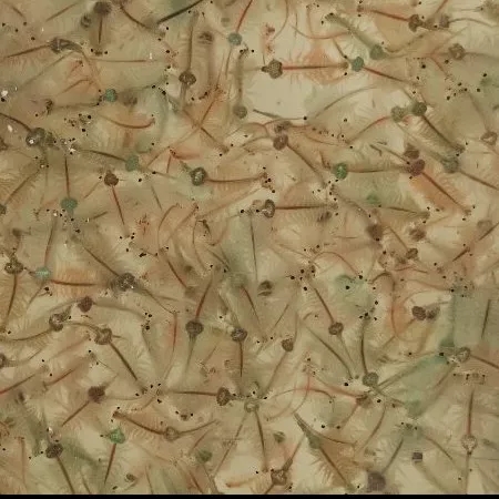 راهنمای استفاده از محصولات آرتمیا