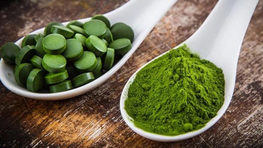 خرید استوک جلبک کلرلا برای پرورش میگو و ماهی