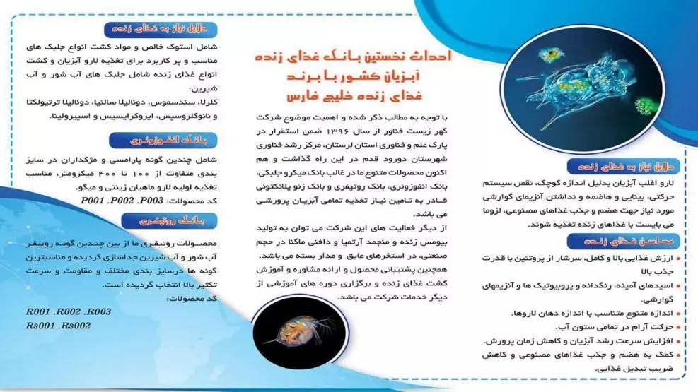 بروشور شرکت