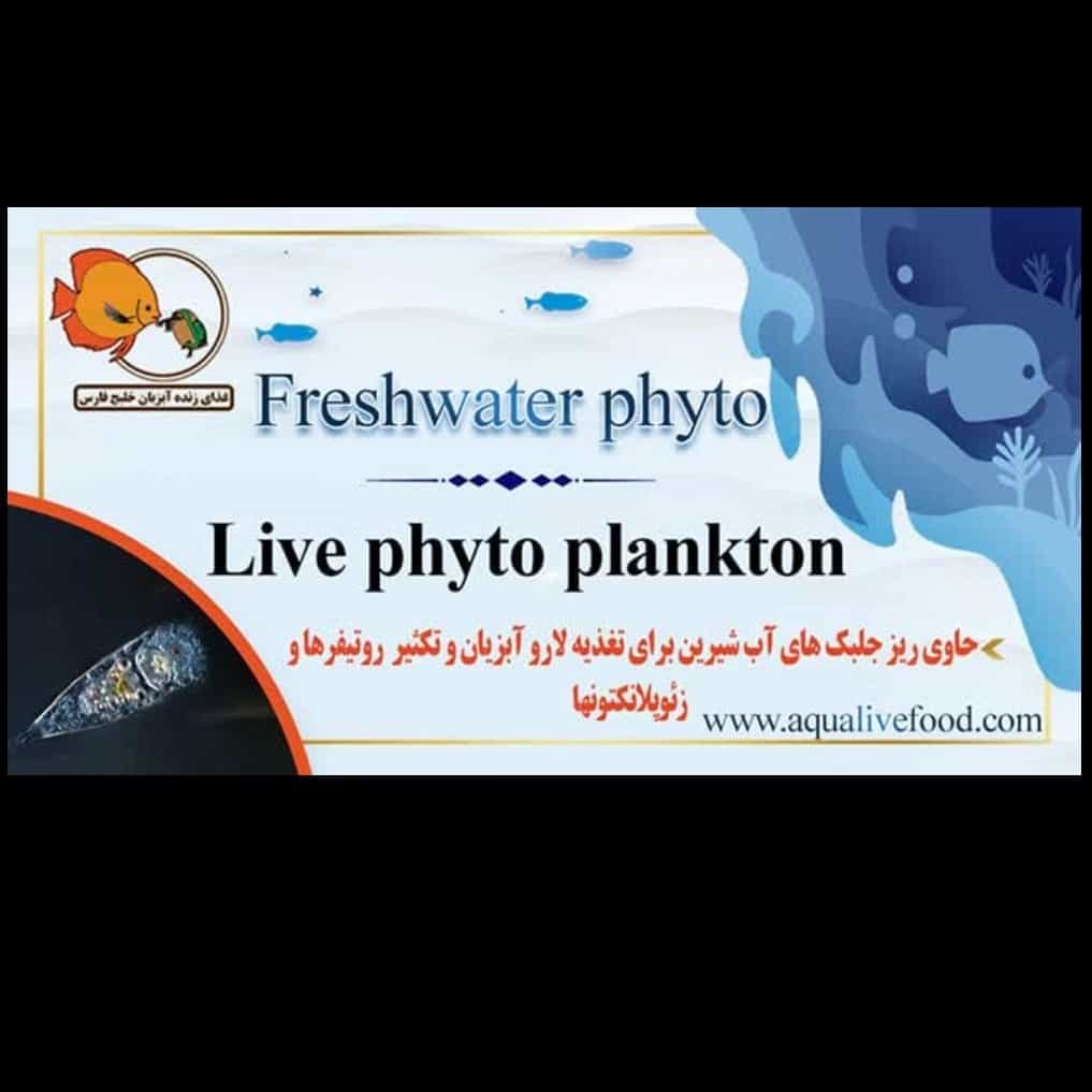 1742224166128.webp