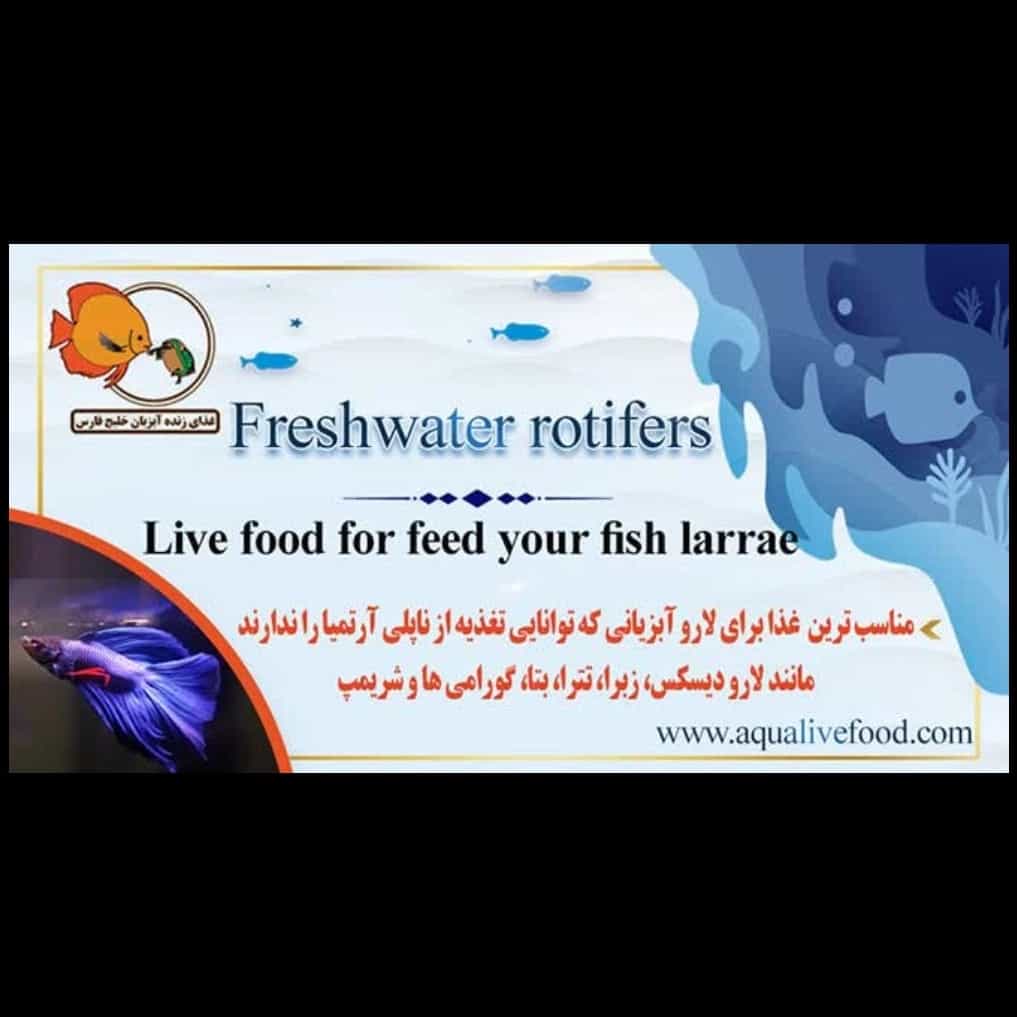 1742719228933.webp