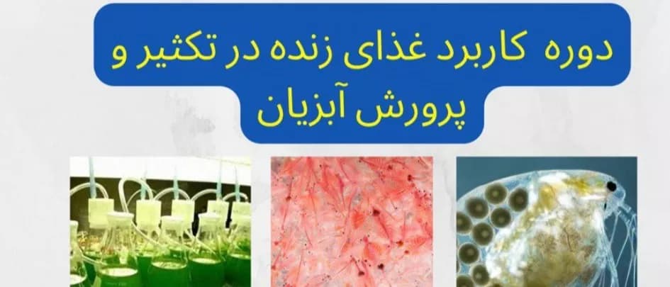 آموزش کشت و تولید غذای زنده