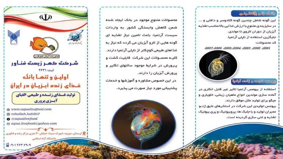 بروشور شرکت بروشور شرکت